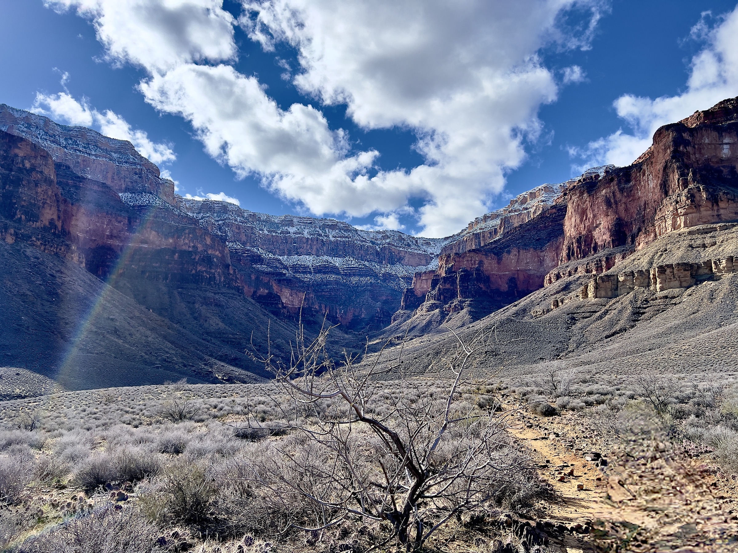 A desert trail through canyon country